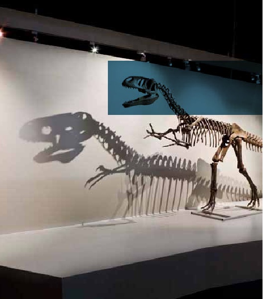 Dead Zoo